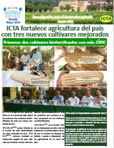 boletin ICTA mayo 2018